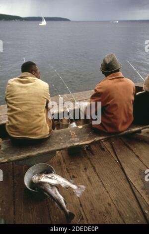 1970s Photo (1973) - Angeln vom Pier am Point Defiance Park am Puget Sound. Kabeljaubarsch und Steinfisch können gefangen werden" Stockfoto