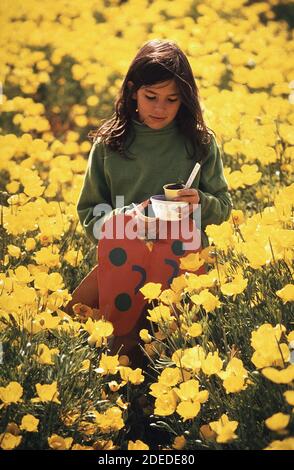 1970er-Fotos (1972) - Kathy Martin trägt eine Pflanze nach Hause Von der Schule durch ein Feld von gelben Mohnblumen Stockfoto