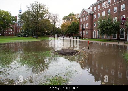 Parken Sie auf den Campus in der Stadt Cambridge in Massachusets Stockfoto