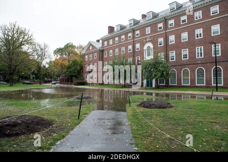 Parken Sie auf den Campus in der Stadt Cambridge in Massachusets Stockfoto