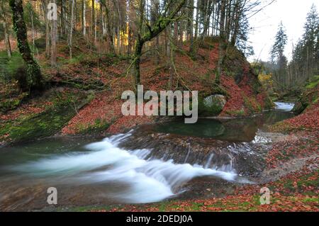 Herbststimmung im Eistobel im Allgäu bei Isny, Schwaben, Bayern, Deutschland, Europa Stockfoto