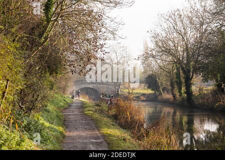 Zwei Hündinnen, die im Spätherbst am Kennet- und Avon-Kanal entlang des Treidelpfades wandern. Ein heller Wintertag in Bradford on Avon, Wiltshire, Großbritannien Stockfoto