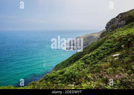 Cornwall, Großbritannien. Blick aufs Meer entlang des Küstenweges. Zwischen St. Ives und Pendeen Stockfoto