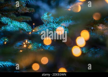 29. November 2020, Sachsen-Anhalt, Quedlinburg: Weihnachtsbäume schaffen Adventsstimmung auf dem Quedlinburger Marktplatz. Foto: Stephan Schulz/dpa-Zentralbild/ZB Stockfoto