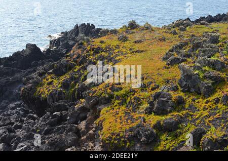 Die vulkanische Küste der Insel Graciosa, Azoren Archipel Stockfoto