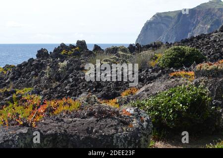 Die vulkanische Küste der Insel Graciosa, Azoren Archipel Stockfoto