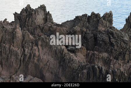 Die vulkanische Küste der Insel Graciosa, Azoren Archipel Stockfoto
