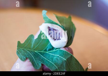 Ein in Feigenblatt gewickelter Mochi von einem Markt in Kyoto, Japan Stockfoto