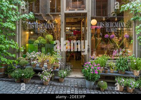 Ehemalige Apotheke jetzt eine Blumenhandlung in Zürich, Schweiz Stockfoto