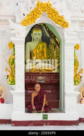 Buddhistischer Mönch vor Buddha Schrein sitzen an Shwedagon Pagode, Yangon, Myanmar (Birma), Asien im Februar Stockfoto