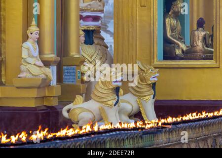 Goldene Chinthe (halb Löwe, halb Drache) Statuen Skulpturen mit Kerzen Flammen an der Shwedagon Pagode, Yangon, Myanmar (Burma), Asien im Februar Chinthes Stockfoto