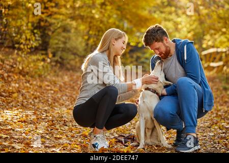 Mann und Frau spielen mit freundlichen weißen Haustier Hund im Wald, auf dem Land, Herbst sonnigen Tag. Gelb orange Bäume und Blätter um sie herum. Menschen und Ani Stockfoto