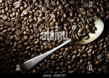 Geröstete Kaffeebohnen flach legen mit einem Stahllöffel in dramatischen Seitenlicht. Draufsicht mit Kopierbereich. Stockfoto