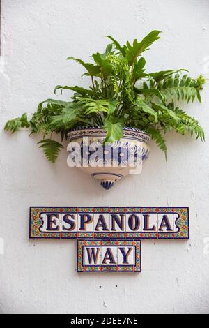 USA, Miami, South Beach, Espanola Way Stockfoto