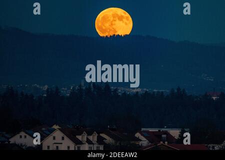 Passau, Deutschland. November 2020. Der Vollmond steigt hinter dem Bayerischen Wald auf. Quelle: Armin Weigel/dpa/Alamy Live News Stockfoto