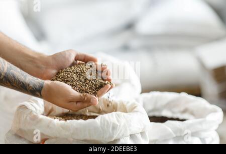 Natürliche Zutaten für das Brauen von bestem Craft-Bier in moderner Pflanze Stockfoto