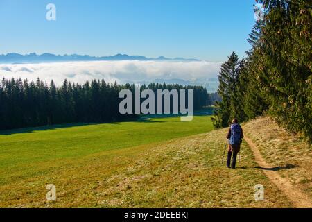 Stoetten am Auerberg, Bayern, Deutschland, November 28 2020. Wanderer und Mountainbiker auf der Strecke bis zum Auerberg (1055m) und der umliegenden Landschaft, mit den Alpen und Inversionswetterlagen (Inversionswetterlage), mit Nebel in den Tälern. © Peter Schatz / Alamy Live News Stockfoto