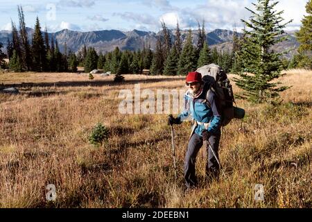 WA17712-00..... WASHINGTON - Frau beim Rucksackwandern entlang des Boundary Trail #533 in der Pasayten Wildnis, Okanogan Wenatchee National Forest. Stockfoto