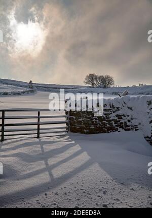 Februar und ein starker Schneefall bedeckt das Land und den Eingang In die Weide rund um die Yorkshire Dales Stockfoto