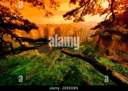 Blick durch die Bäume am Landschaftspark Wulingyuan gelegen - Zhangjiajie National Forest Park in der Provinz Hunan, China. Einzigartige Berglandschaft mit Quarzit Gipfeln und subtr Stockfoto