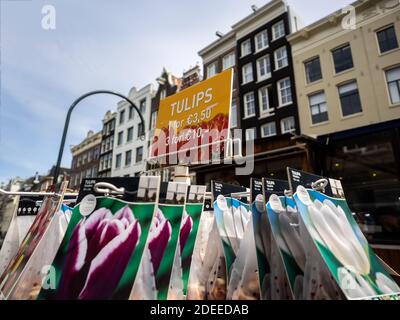 AMSTERDAM, NIEDERLANDE - 01. MAI 2018: Tulpen zum Verkauf auf einem Marktstand mit Preisschild Stockfoto