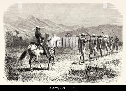 Freiwillige Soldaten aus Cauca, Kolumbien. Alte eingravierte Illustration des 19. Jahrhunderts. Reise nach New Granada mit Charles Saffray von El Mundo en La Mano 1879 Stockfoto