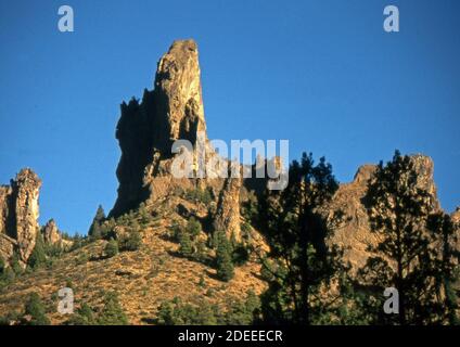 Patagonien Argentinien. Encantado Valley, Provinz Neuquen (gescannt von Fujichrome Provia) Stockfoto