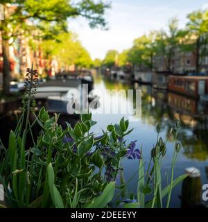 AMSTERDAM, NIEDERLANDE - 01. MAI 2018: Blick über den Brouwersgracht-Kanal mit einem unscharfen Blick auf Boote auf dem Kanal Stockfoto