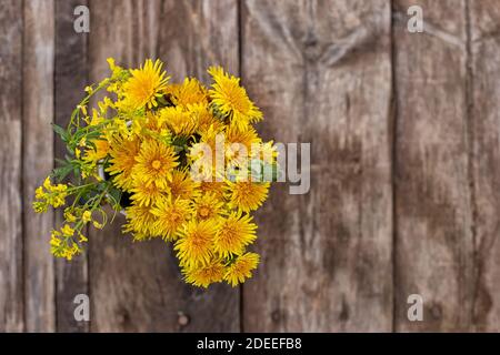 Bouquet von gelben Löwenzahn auf Holzhintergrund Draufsicht Stockfoto