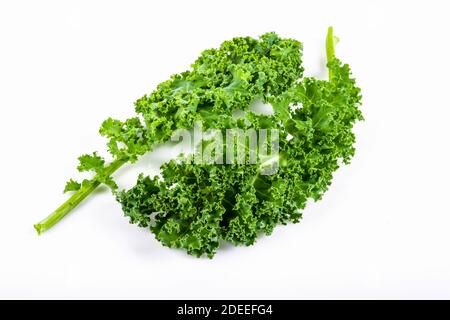 Kale Blatt Salat Gemüse isoliert auf weißem Hintergrund. Kreatives Layout aus Grünkohl-Nahaufnahme. Stockfoto