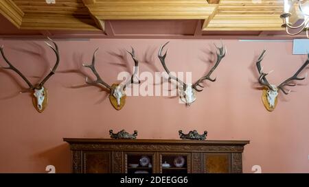 Deer Antlers im Inneren des Hunter's Castle mittelalterliche Retro-Stil. Stockfoto