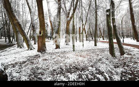 Minsk. November 2020. Das Foto vom 30. November 2020 zeigt eine Szene in einem Park in Minsk, Weißrussland. Die Stadt erlebte den ersten Schneefall dieses Winters am Montag. Quelle: Henadz Zhinkov/Xinhua/Alamy Live News Stockfoto