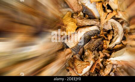 Blick von oben auf die getrockneten Pilze an Holz- Hintergrund mit Platz für Art. Alternative gesunde Lebensmittel und medizinische Konzept. Stockfoto