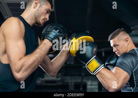 Zwei Muskelboxer Sport Mann Training und Kampf auf Boxen Klingeln Sie im Fitnessstudio Stockfoto