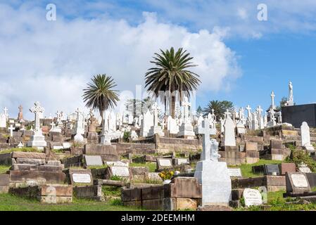 Sydney, Australien - Graves in Waverley Friedhof, Bronte. Es ist bekannt für seine viktorianischen und edwardianischen Denkmäler. Stockfoto