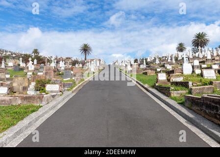 Sydney, Australien - Graves in Waverley Friedhof, Bronte. Es ist bekannt für seine viktorianischen und edwardianischen Denkmäler. Stockfoto