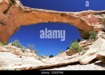 Natural Bridges Nationalmonument in Utah Stockfoto