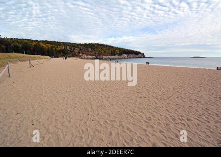 Sandstrand im Acadia National Park mit Herbstlaub in Der Hintergrund Stockfoto