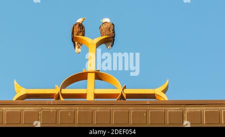 Zwei Weißkopfseeadler auf katholischen Kirchturm auf Das christliche Kreuz an der Annunciation Church in Südminneapolis Stockfoto