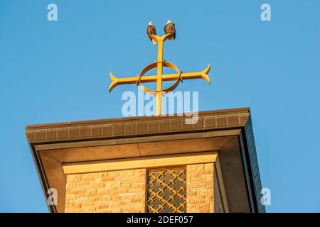 Zwei Weißkopfseeadler auf katholischen Kirchturm auf Das christliche Kreuz an der Annunciation Church in Südminneapolis Stockfoto