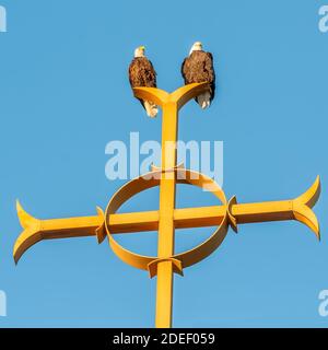 Zwei Weißkopfseeadler auf katholischen Kirchturm auf Das christliche Kreuz an der Annunciation Church in Südminneapolis Stockfoto