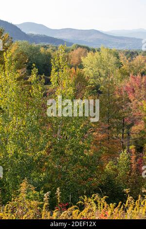 "The Whites" sind eine Bergkette, die 25% des nördlichen New Hampshire und kleinen Abschnitt des westlichen Maine bedeckt. Sie sind Teil des Appalachischen Mou Stockfoto