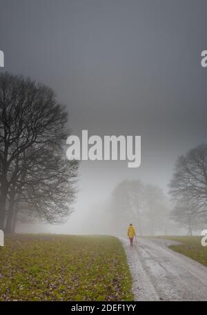 Person, die an einem späten nebligen Abend entlang einer von Bäumen gesäumten kleinen Landstraße geht. Stockfoto