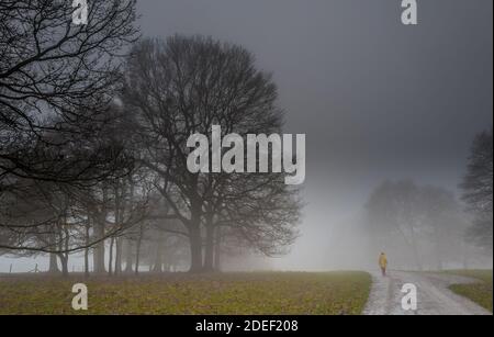 Person, die an einem späten nebligen Abend entlang einer von Bäumen gesäumten kleinen Landstraße geht. Stockfoto