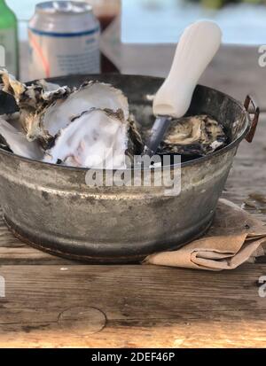 Geschüpfte Austernschalen in einem Zinneimer mit einem Austernmesser. Stockfoto