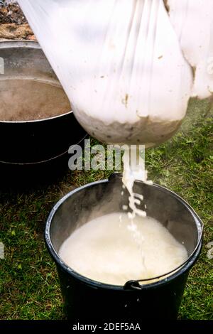 Hausgemachte Käseproduktion in einem großen Kessel über einem Feuer. Stockfoto