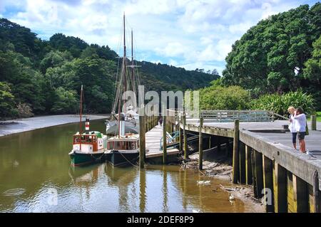 Dampfschiffe vertäut am Mahurangi Fluss, Warkworth, Region Auckland, Nordinsel, Neuseeland Stockfoto