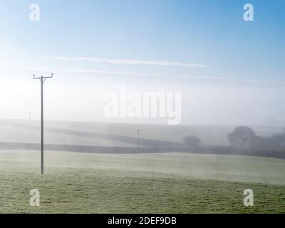 Frostiger, nebliger Herbstmorgen, ländliches Devon, England. Stockfoto