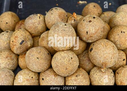 Lokale Snacks zum Verkauf in der antiken Stadt Qingyan in der Nähe von Guiyang, Provinz Guizhou, China Stockfoto