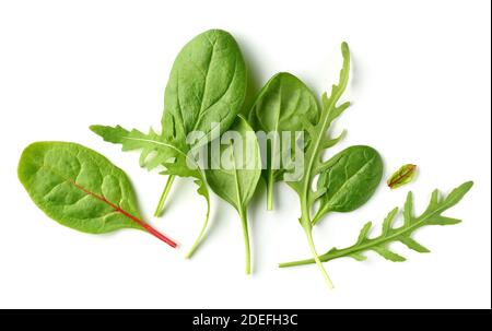 Zusammensetzung von verschiedenen Salatblättern isoliert auf weißem Hintergrund, Draufsicht Stockfoto